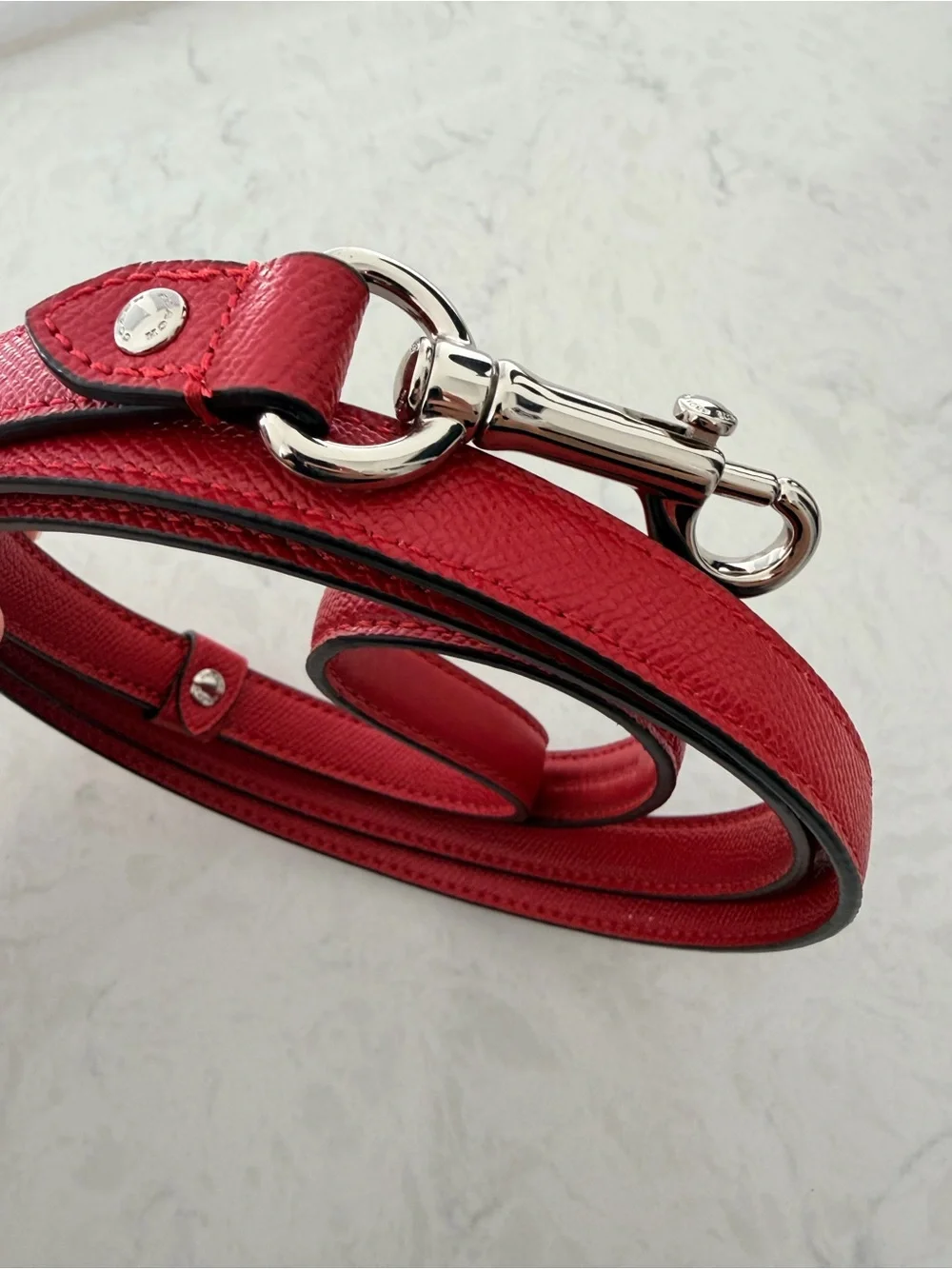 NEW Coach Red Leather Dog Leash